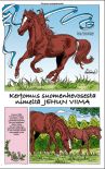 Tositapahtumiin perustuva suomenhevossarja Jehun Viima. © Lena Furberg/Egmont