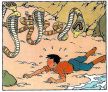 Myrkylliset kobrat uhkaavat Veikkoa!
© Editions Casterman