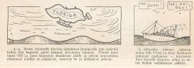 Sirkka, Nuorten toverit nro 21 vuodelta 1930, Olli Pirteän seikkailut ja matkustukset © Hjalmar Löfving
