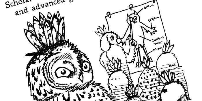 Realm of Owls -sarjan lähikuvassa pöllö katsoo tarkkaavaisena.